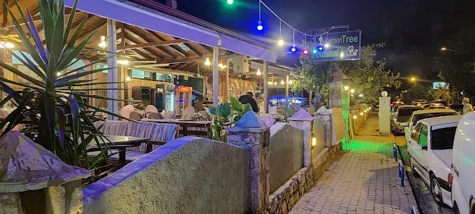 Lemon Tree Hotel